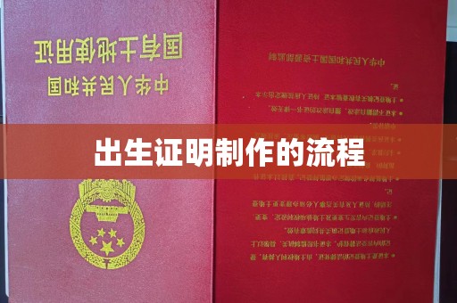 潮州出生证明制作的流程