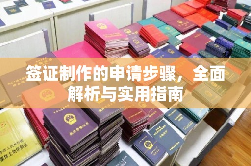 潮州签证制作的申请步骤，全面解析与实用指南