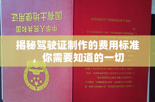潮州揭秘驾驶证制作的费用标准，你需要知道的一切
