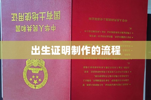 潮州出生证明制作的流程