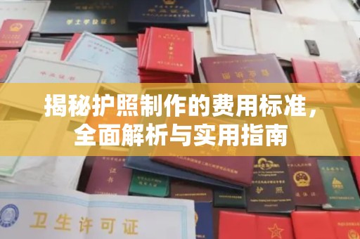 潮州揭秘护照制作的费用标准，全面解析与实用指南