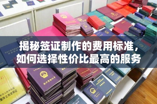 潮州揭秘签证制作的费用标准，如何选择性价比最高的服务？