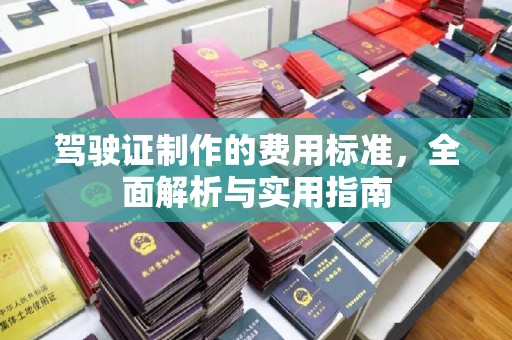 潮州驾驶证制作的费用标准，全面解析与实用指南