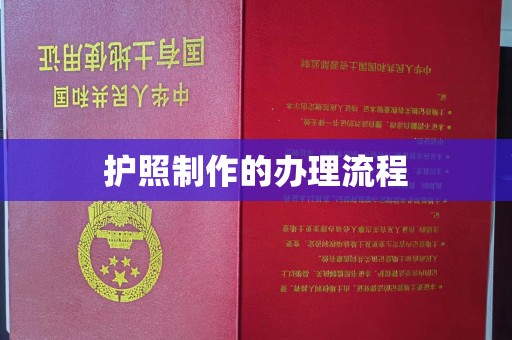 潮州护照制作的办理流程